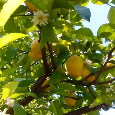 Menelaos Apartament *