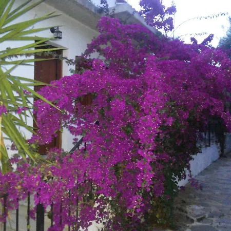 Apartment Menelaos *