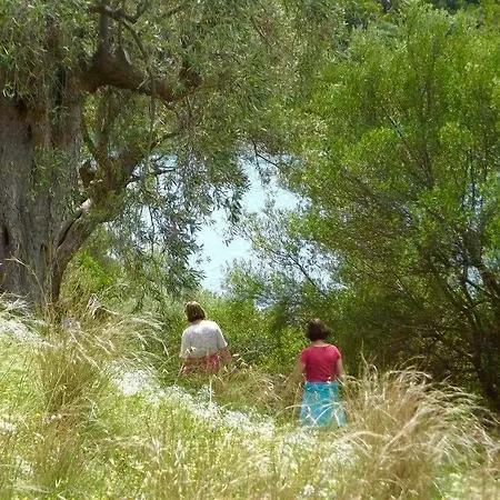 Διαμέρισμα Menelaos