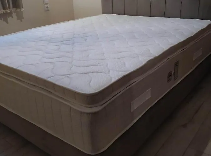 Menelaos * Lefokastro