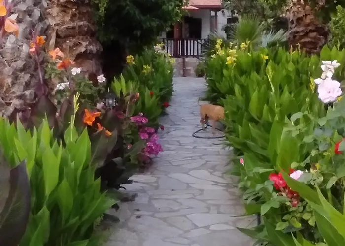 Menelaos Lägenhet *